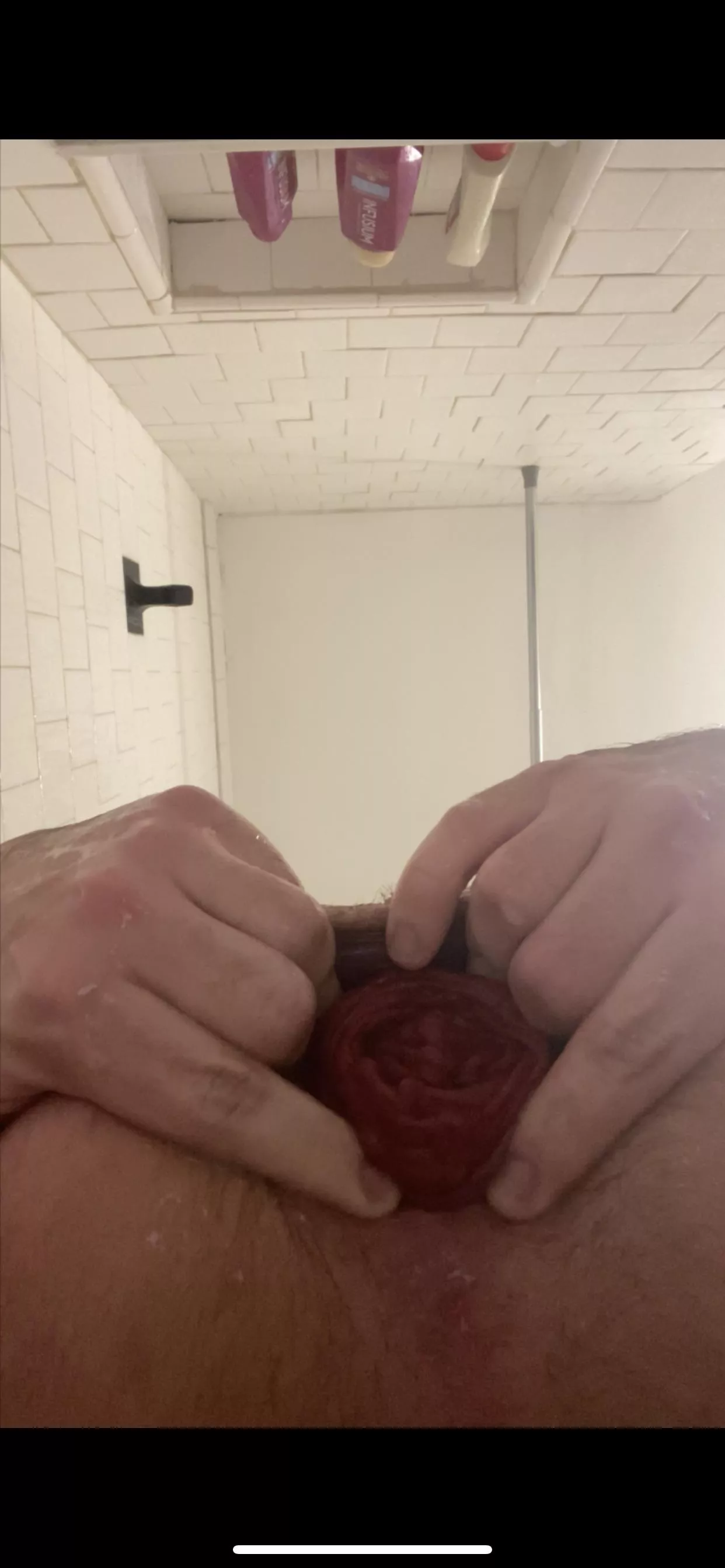 A lil post fisting rose🌹