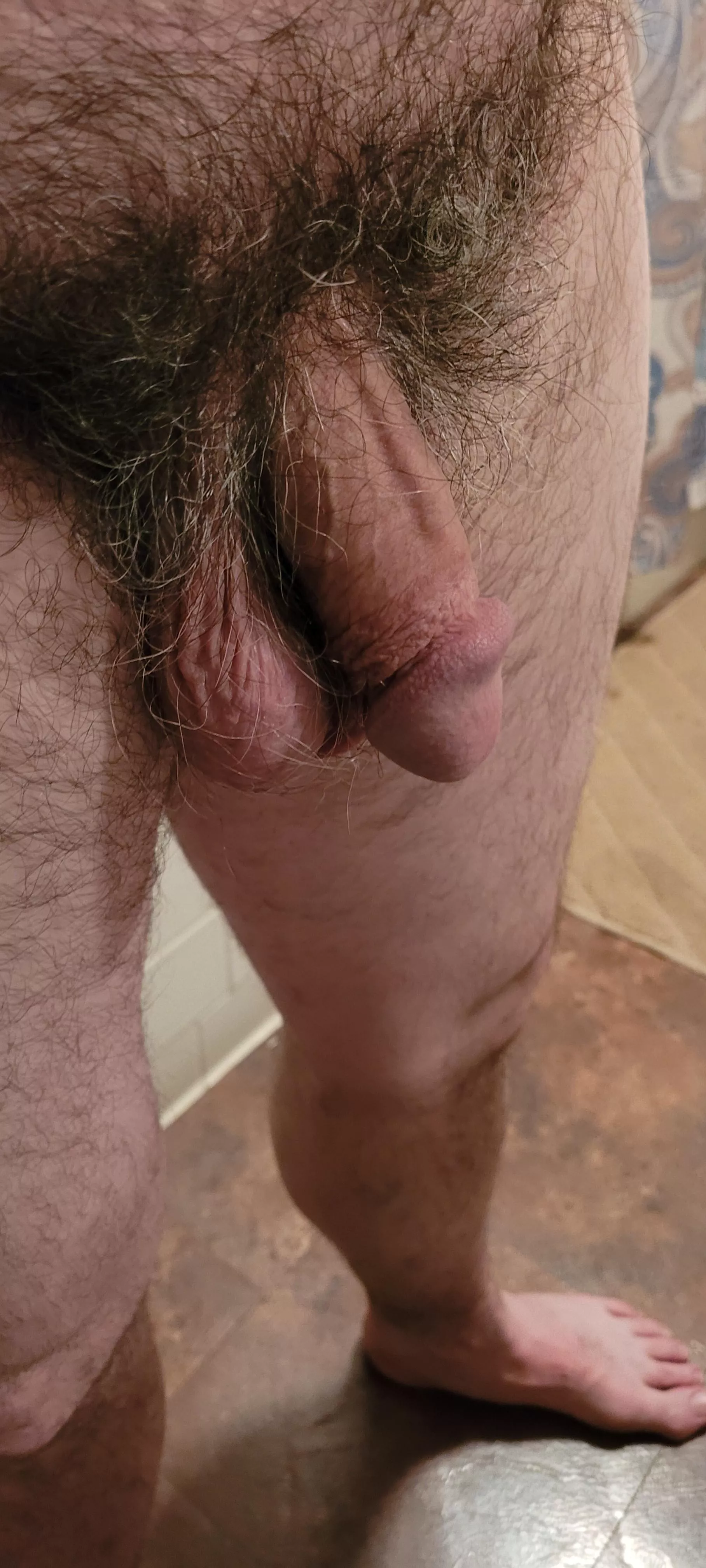 A lion doesn't shave his mane. [42 mwm]