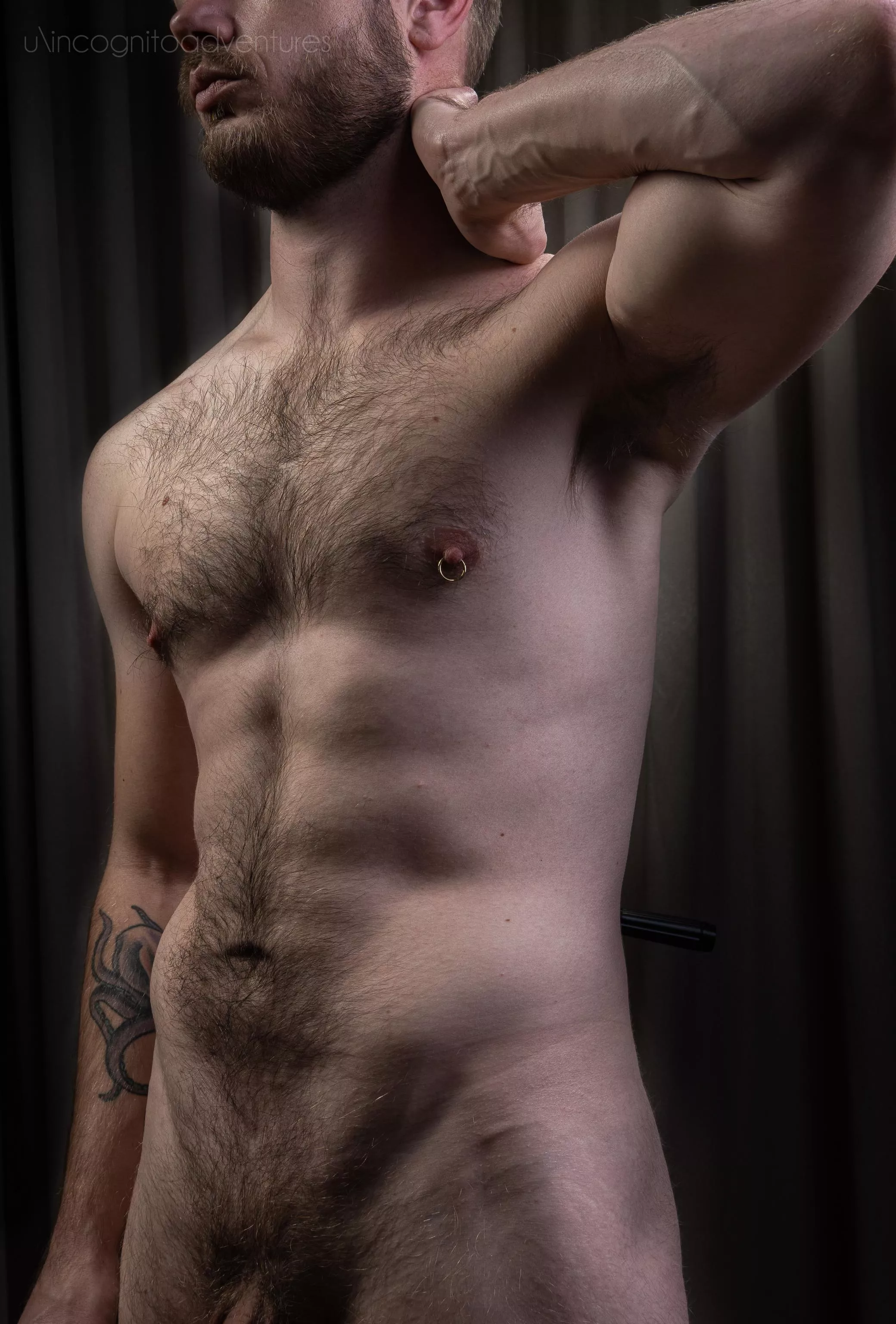 A little bit of fur appreciated? A little bit of fur appreciated?