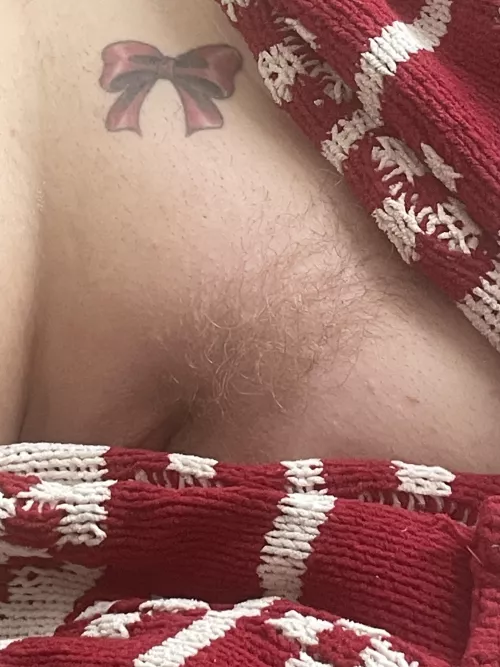 A little Christmas present (f)