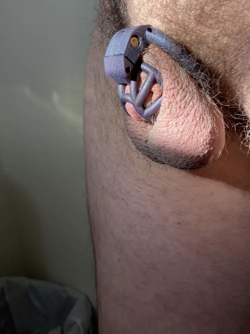 A little sunshine on my locked cock