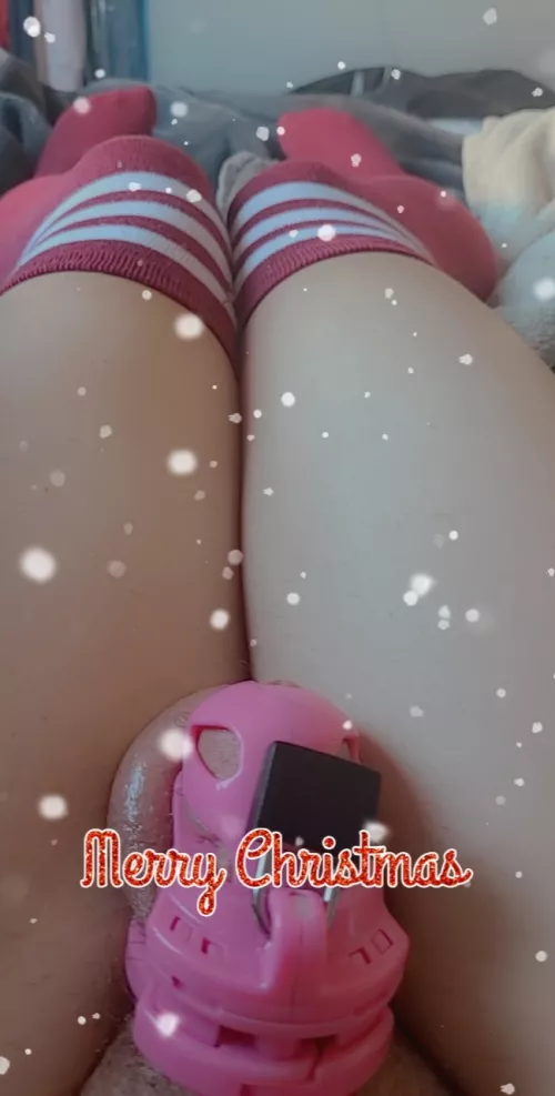 A Locked Christmas!!! 🎄🎄