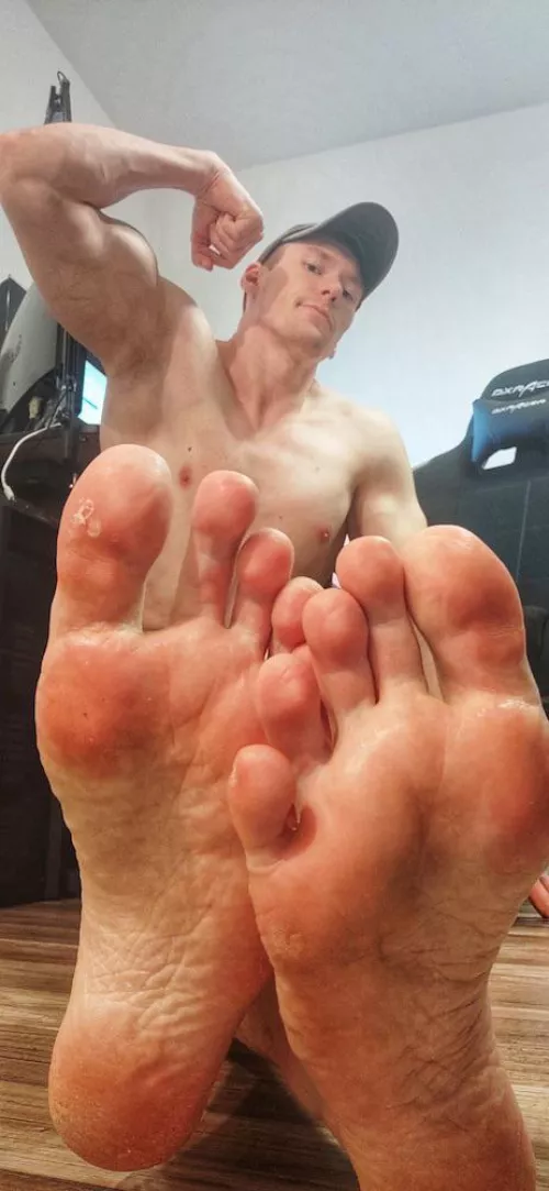 A lot to sniff here.