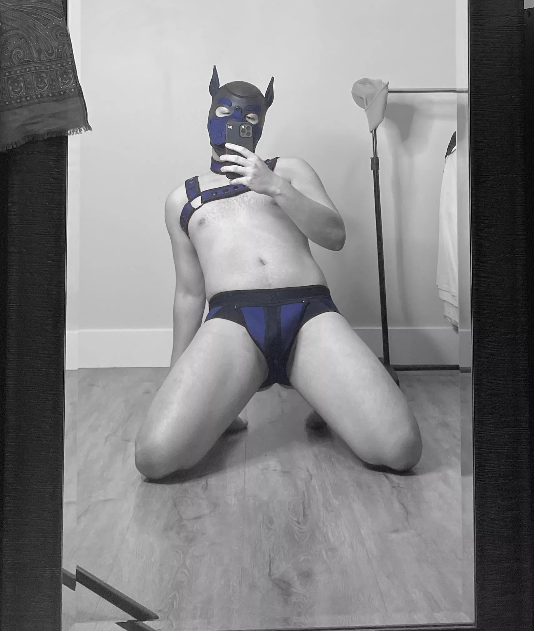 A new pup’s in town, what do you think?