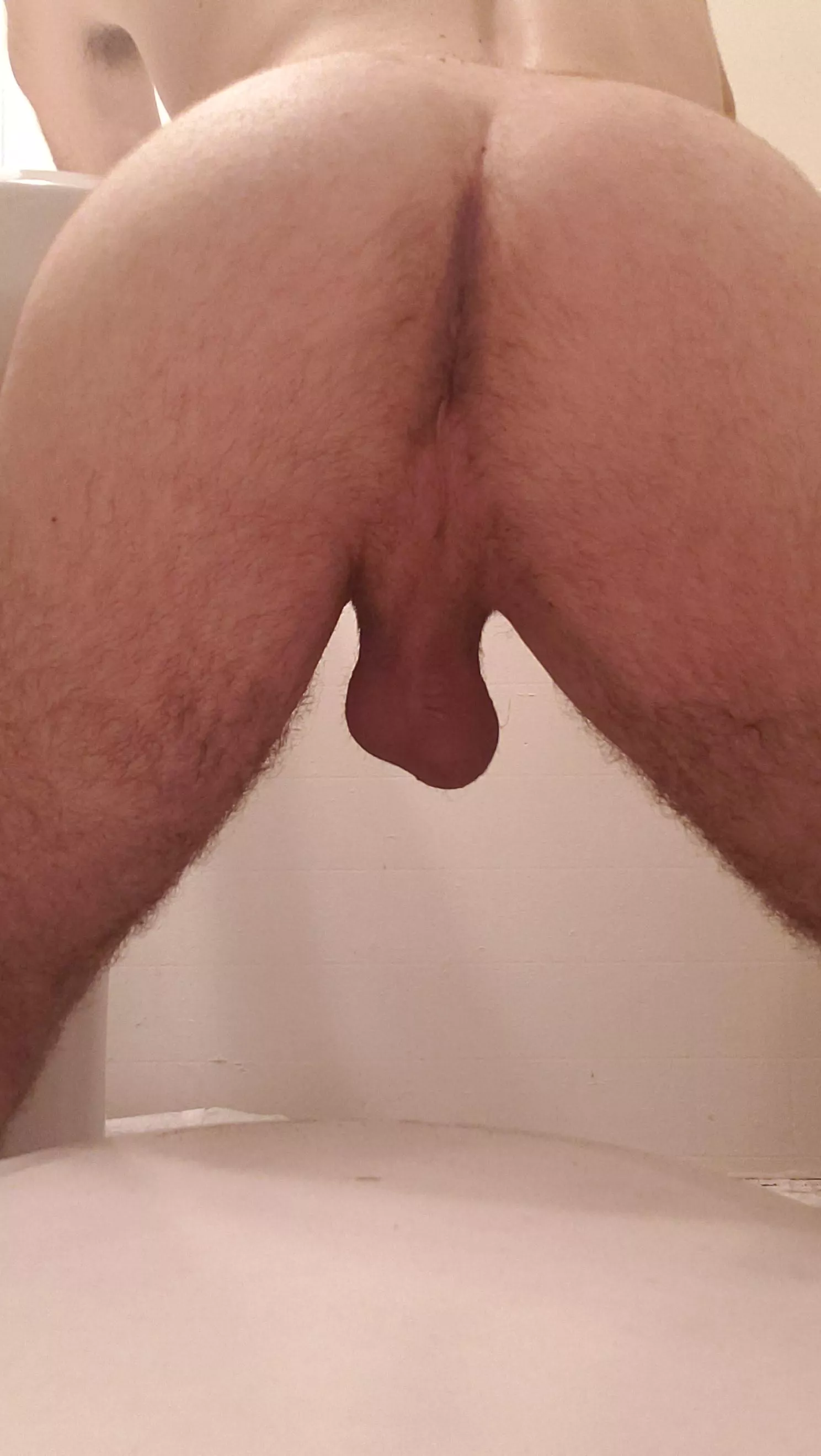 A nice close up for you A nice close up for you