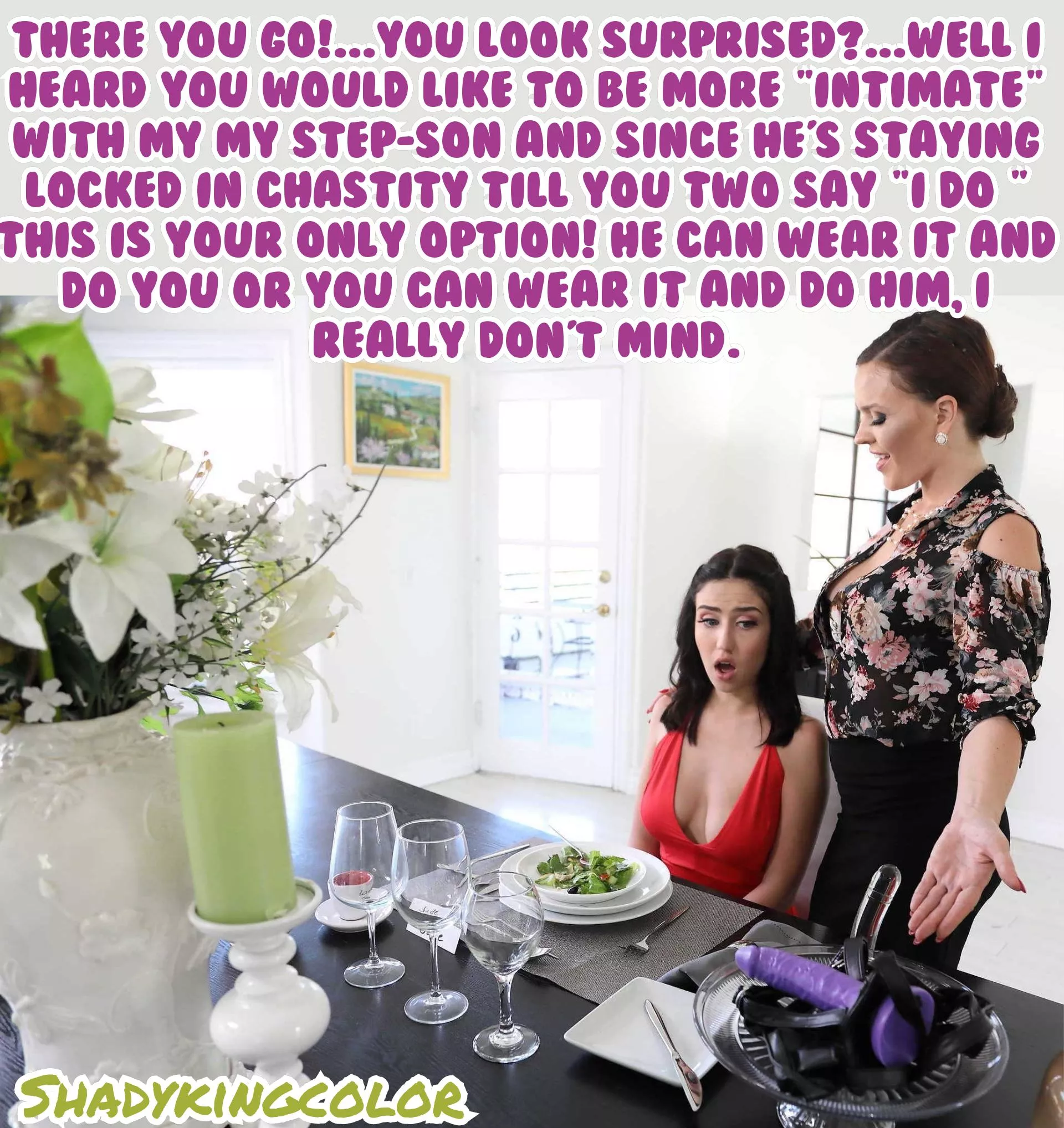 A stepmothers compromise A stepmothers compromise