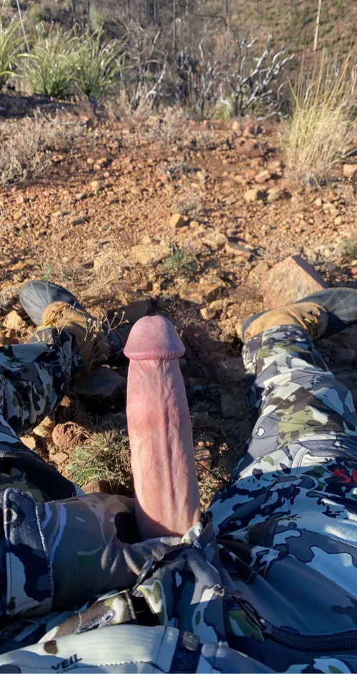 A thick dick ready to stretch