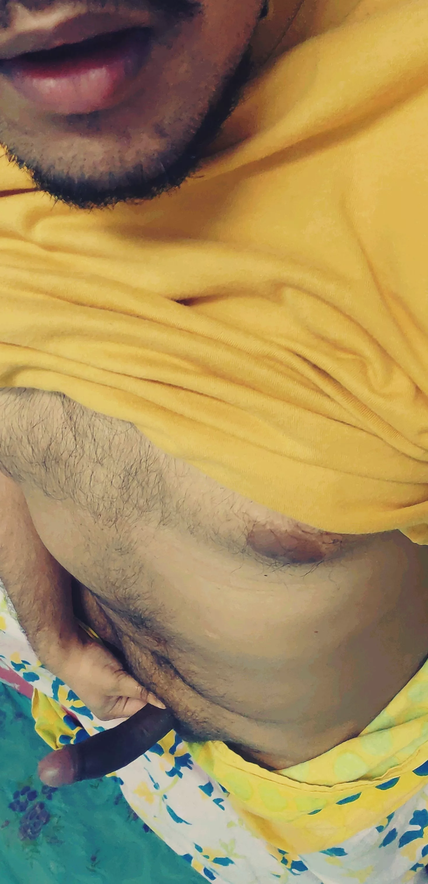 A very happy new year from this indian bear!