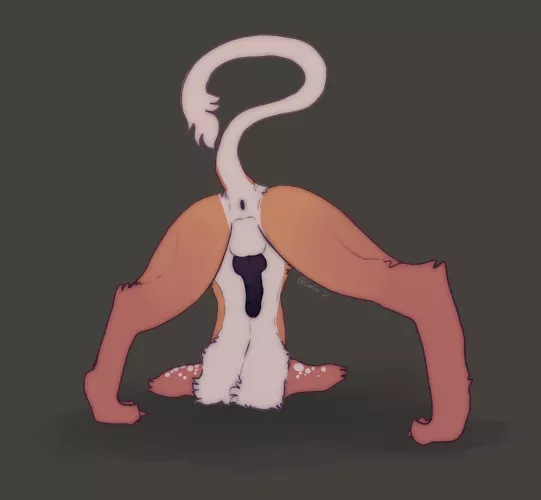 A Very, Very, Very Late Jack-O-Pose (Calisi)