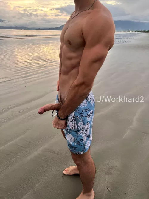 A wild Nature! 🇧🇷