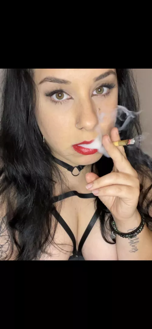 About to watch Christmas Vacation. Who’s in?