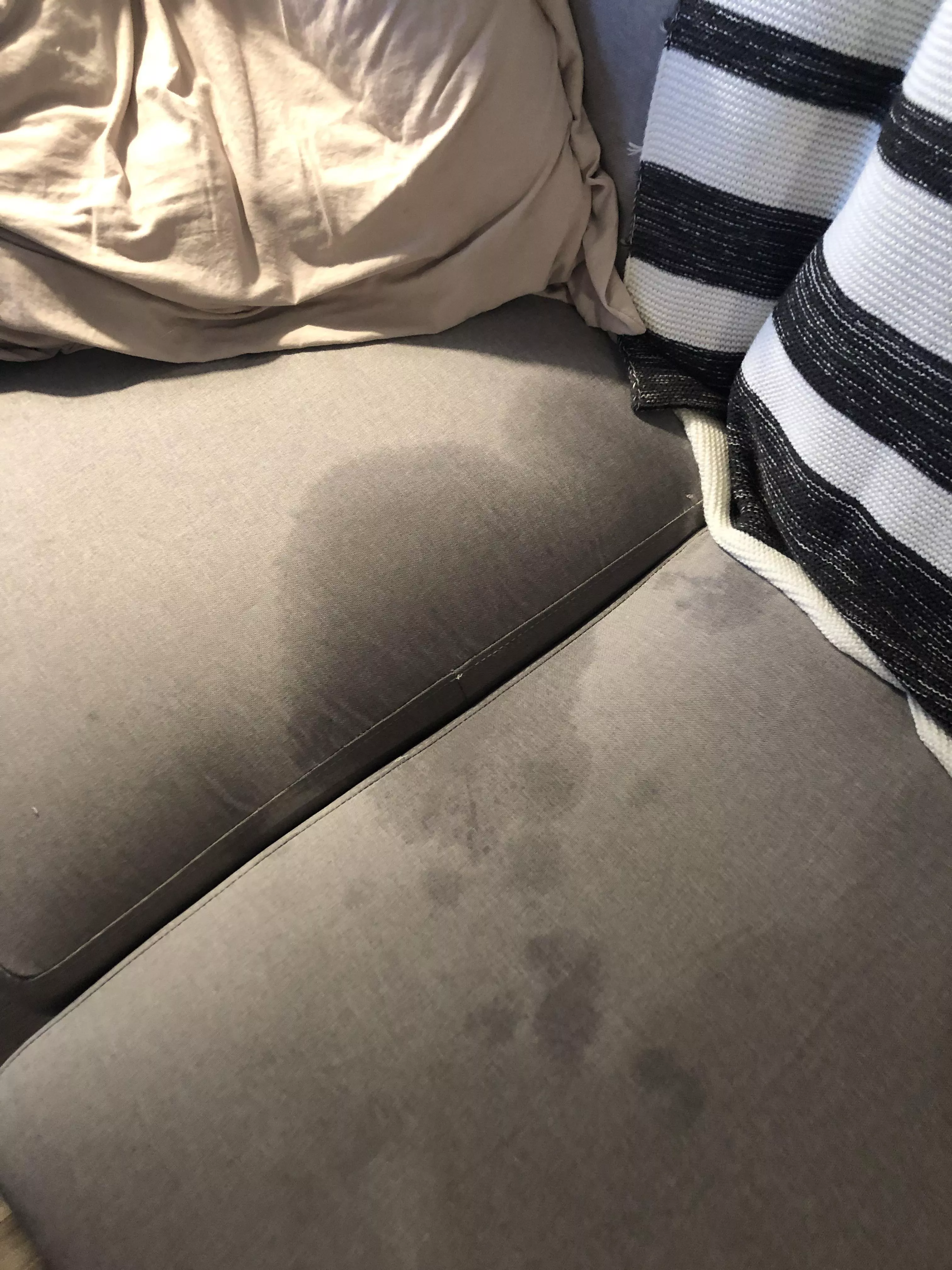 Aftermath 💦 still cleaning my couch 🙄