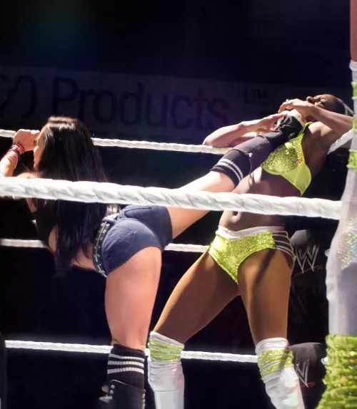 AJ Lee