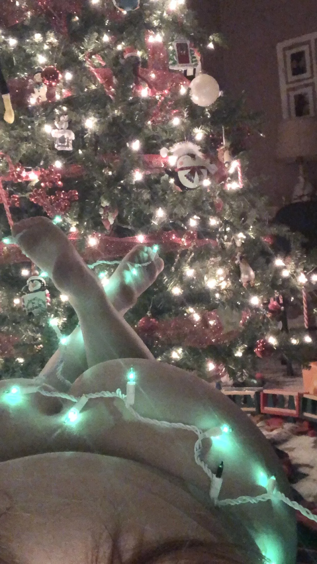 All I want for Christmas is you 🎄🎁