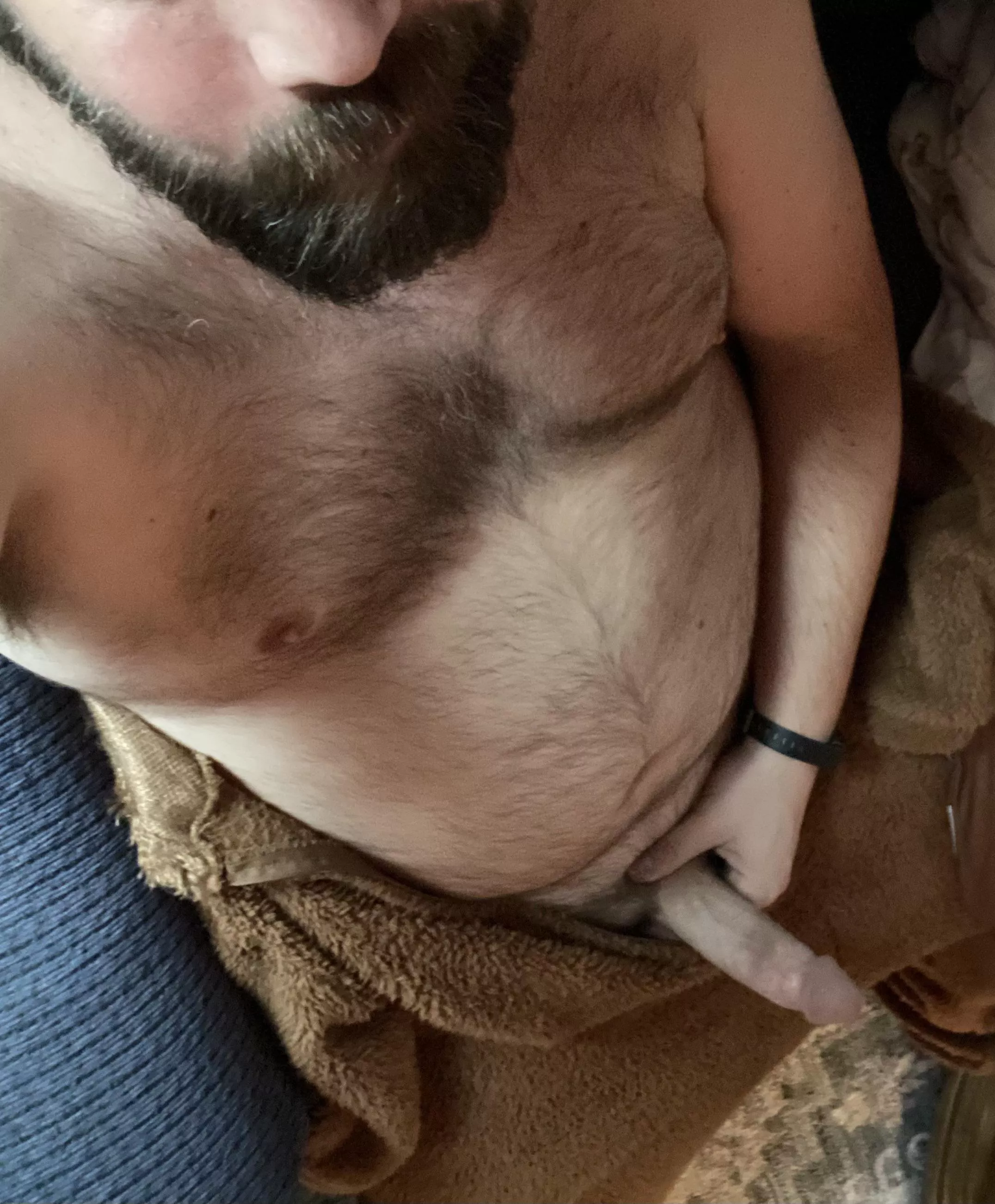 All warm and snuggly. Who wants to come join me? All warm and snuggly. Who wants to come join me?