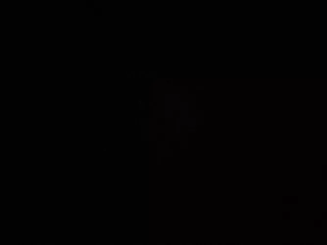 All women are beautiful and intelligent and should pop a titty Amos chad_brian20