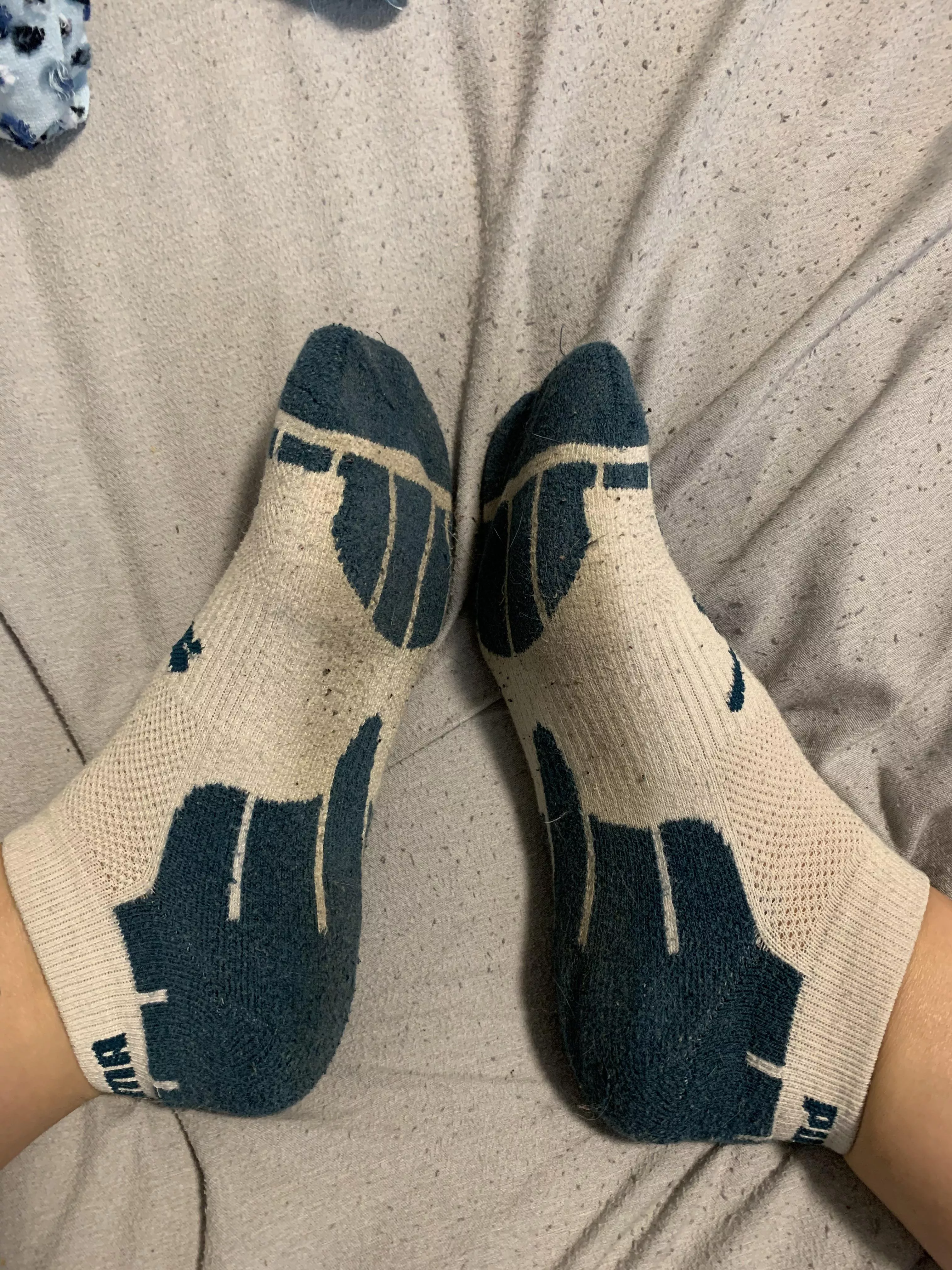 All you want is to smell my socks All you want is to smell my socks