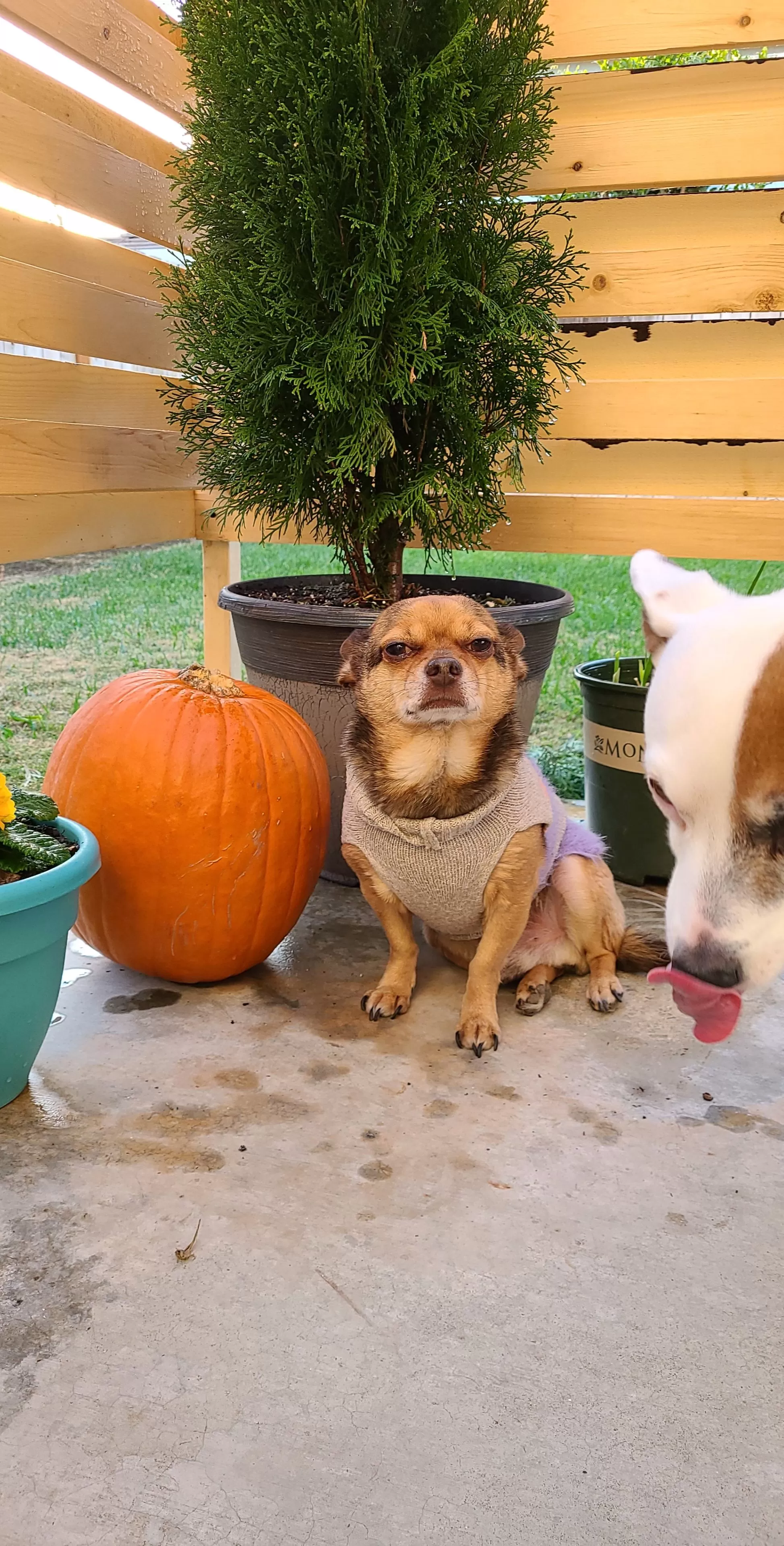 Already missing FALL. cozy sweaters please Already missing FALL. cozy sweaters please