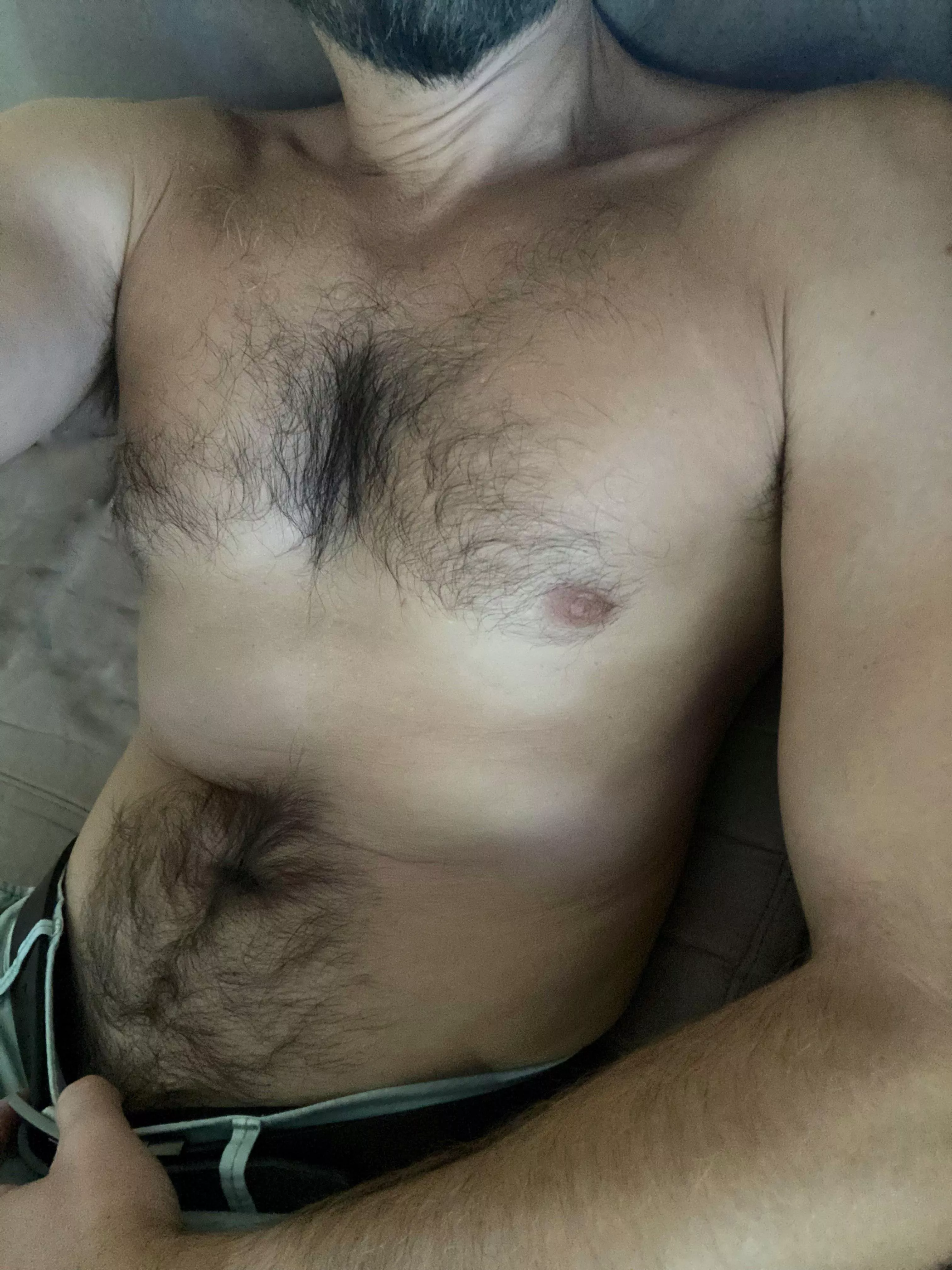 Am I an otter? Am I an otter?