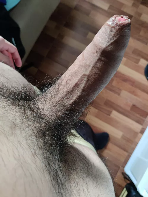 An interesting title