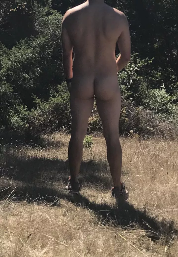 Another nice Bay Area hike