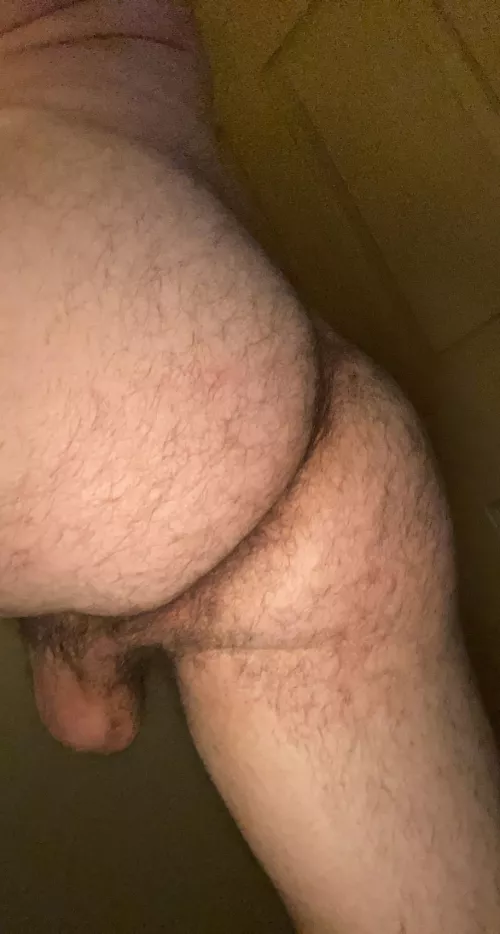 any bear tops looking for some ass?