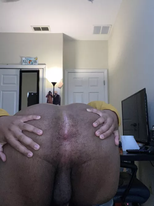 any chubs in orlando ? young chub verse bottom here