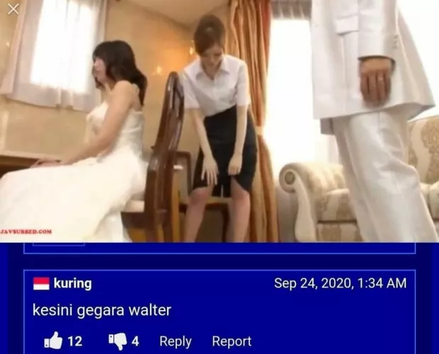 any comrades know the sauce?