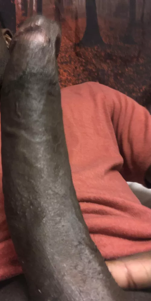 Any cuck couples in vegas looking for a bull . Experienced 10in cock watch me make her mouth water .