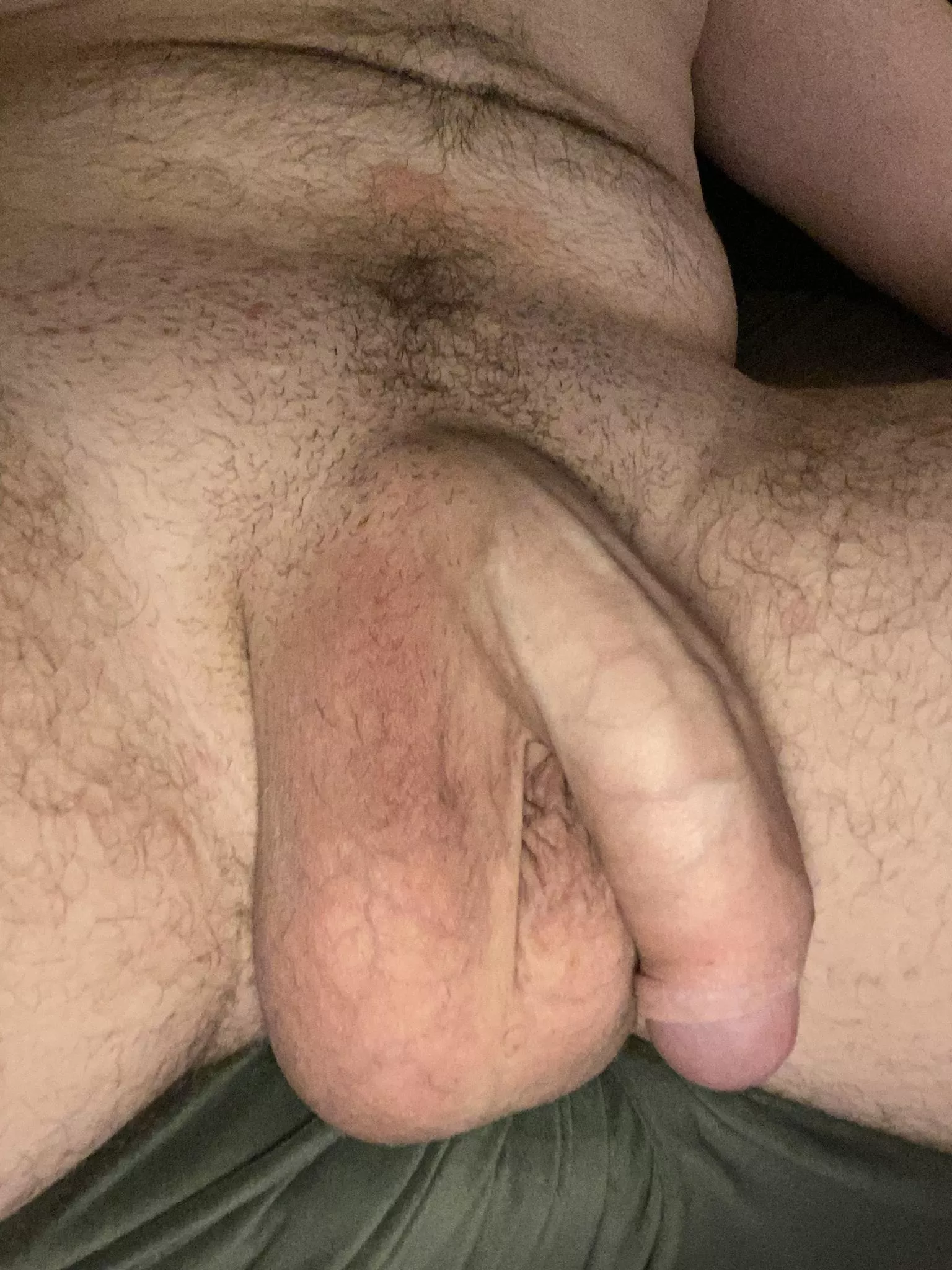 Any fans of big softies here?
