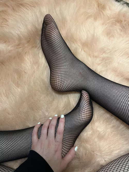 Any fishnet fans? š¤