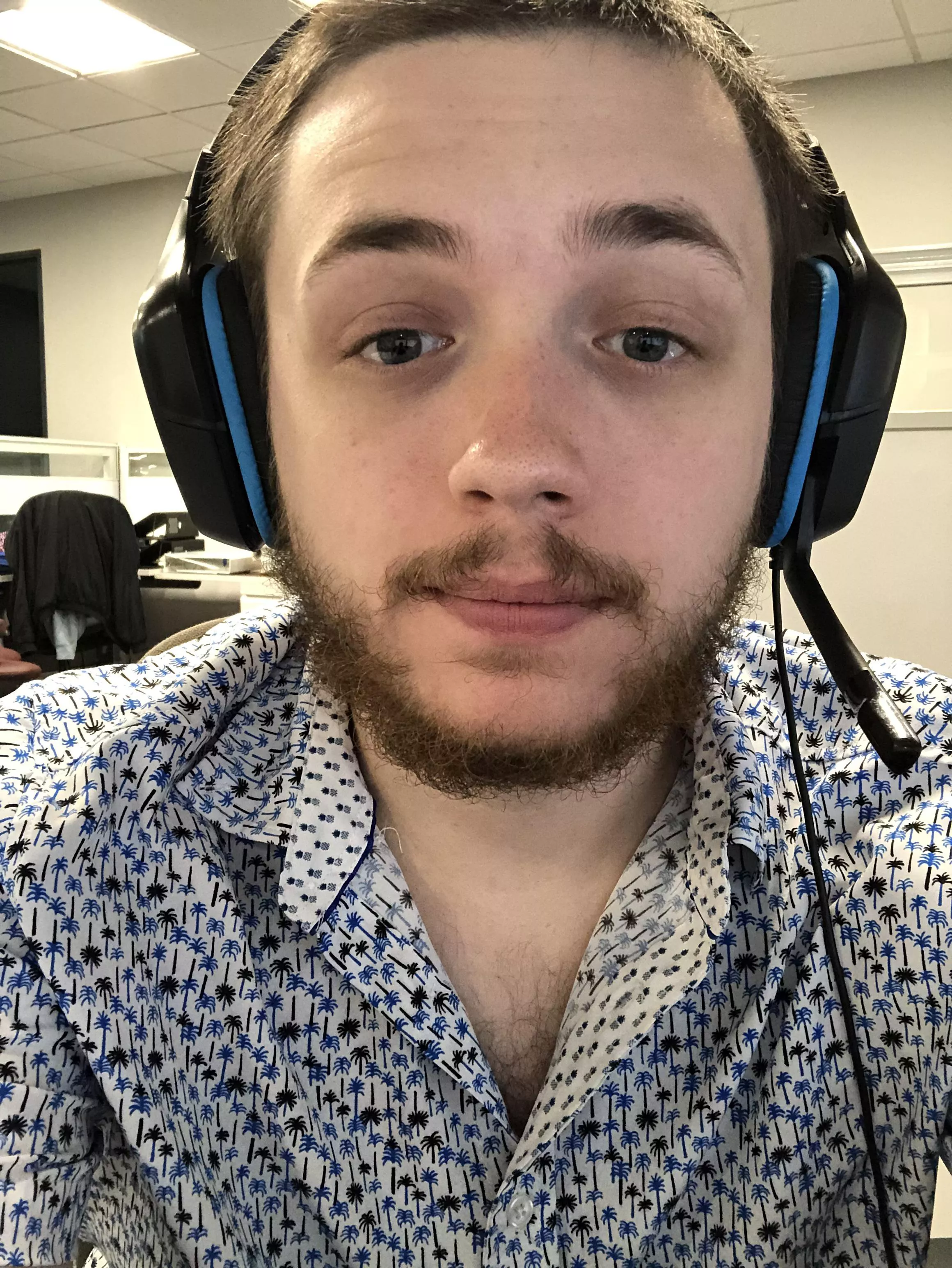 Any gaymer bears out there?