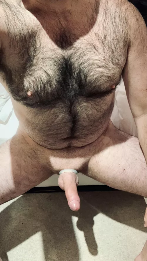Any kinksters want to share their deepest desires with a submissive bear?
