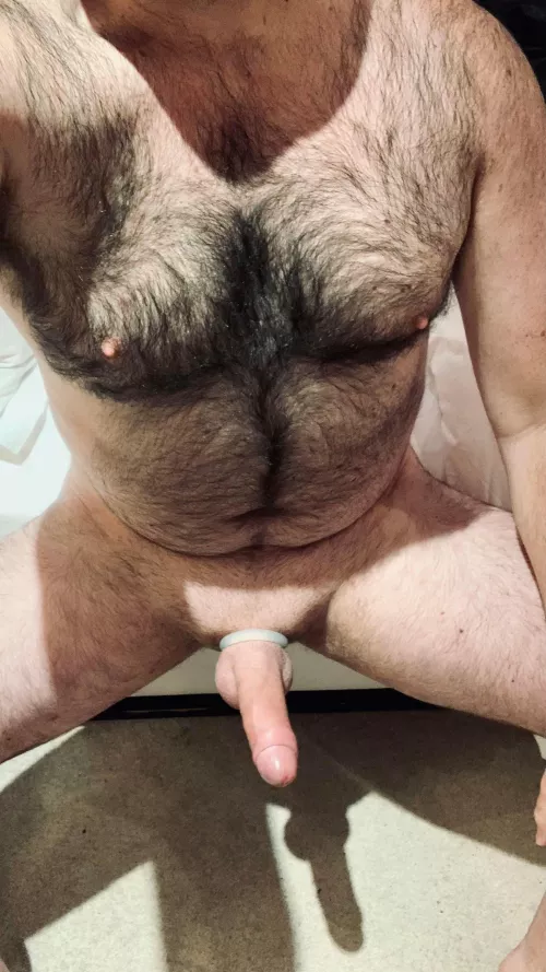 Any kinksters want to share their deepest desires with a submissive bear?
