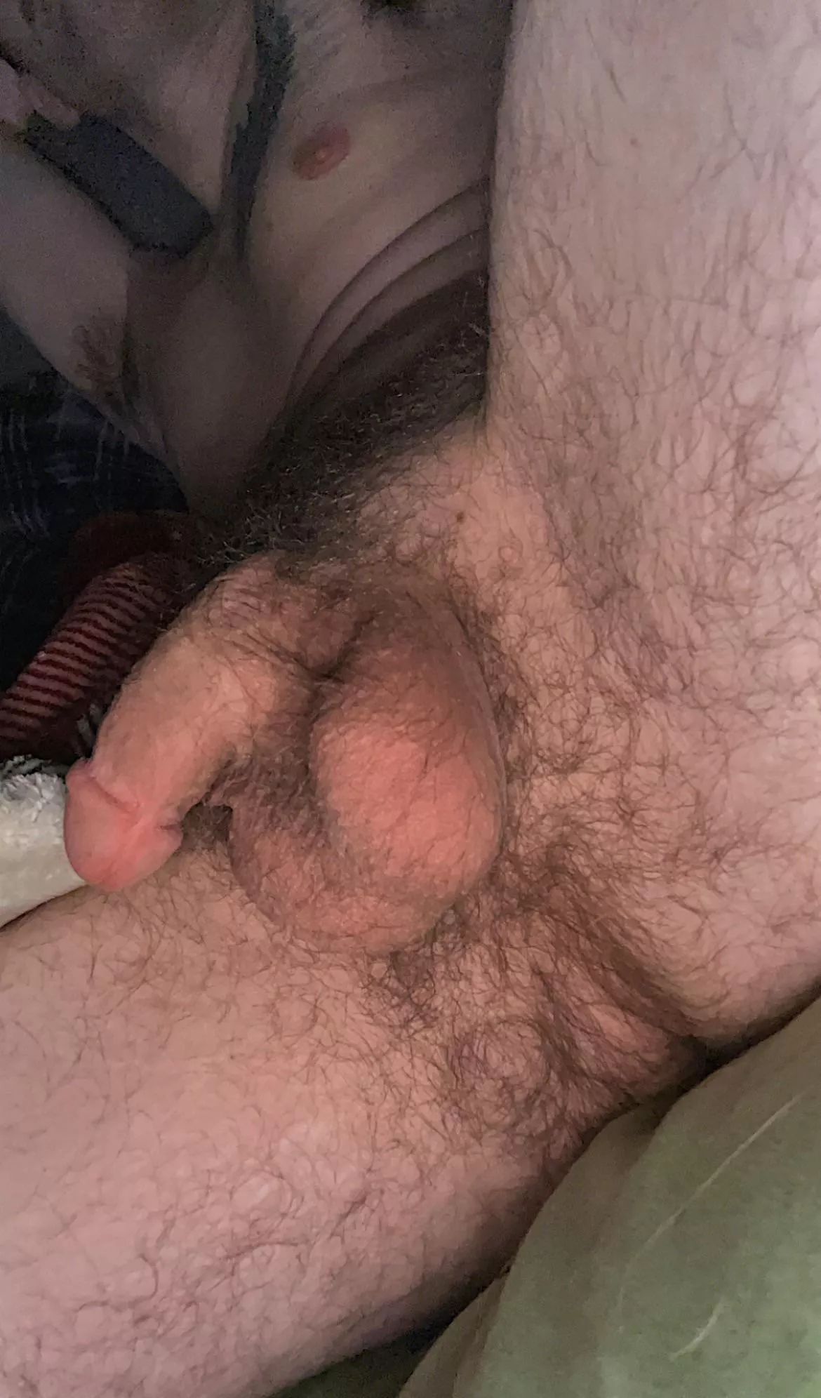 Any like a hairy taint with bush??