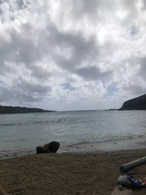 Any nuru in San Diego?