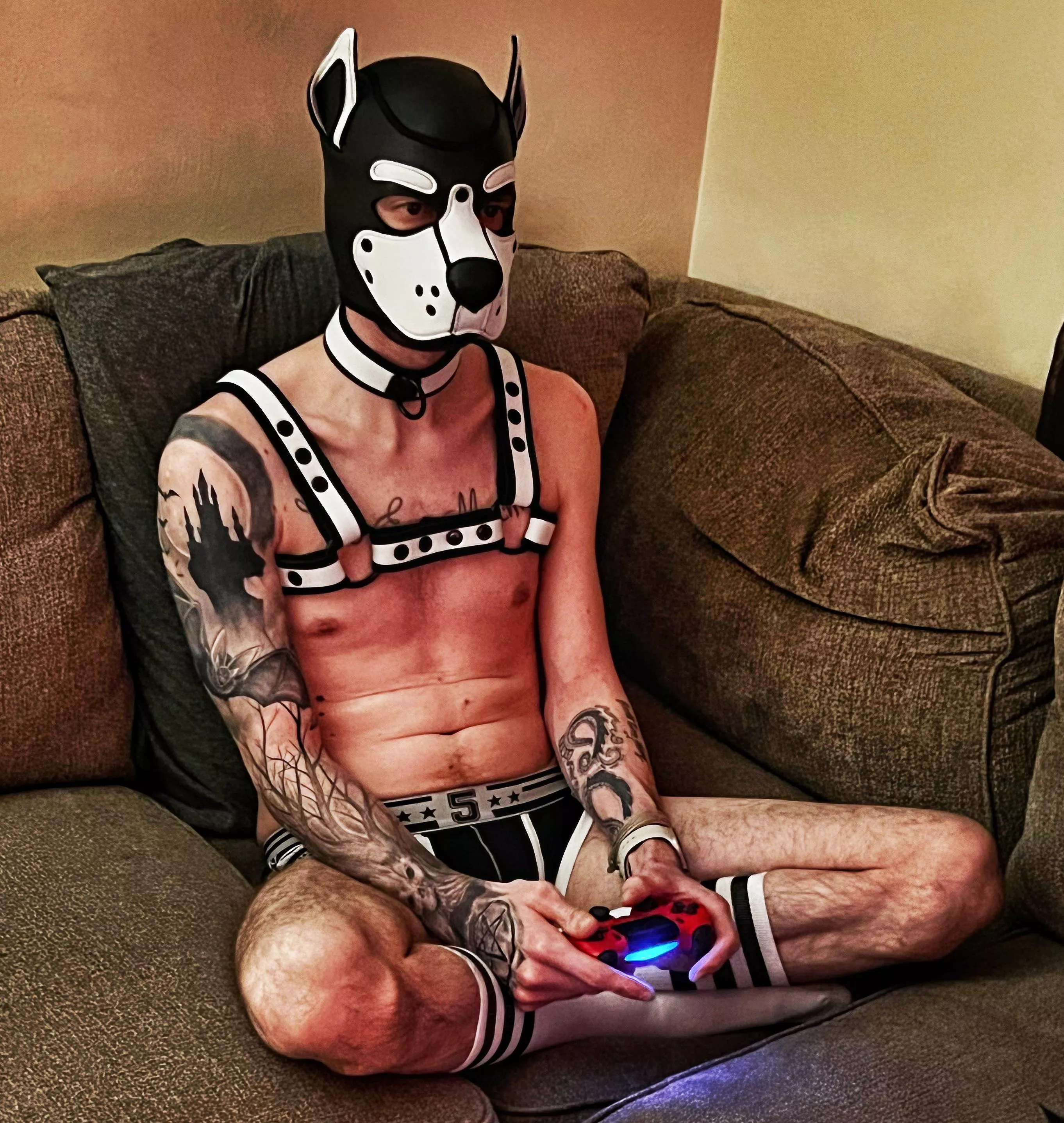 Any pups wanna play?