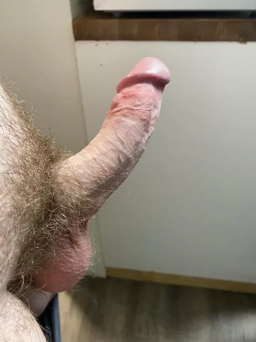 Any sexy bears interested?