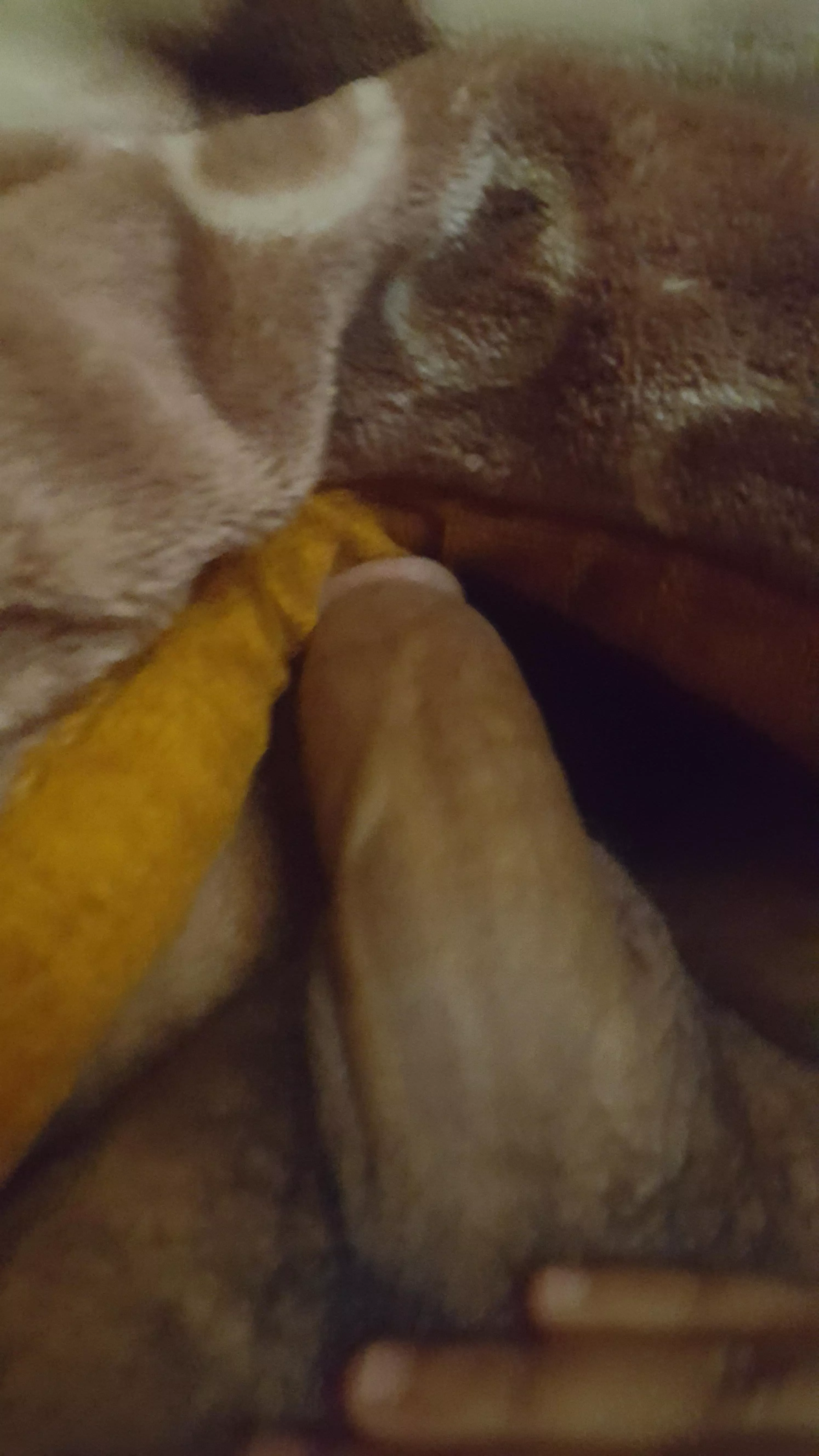 Any sissy to play with this bbc ?! Any sissy to play with this bbc ?!