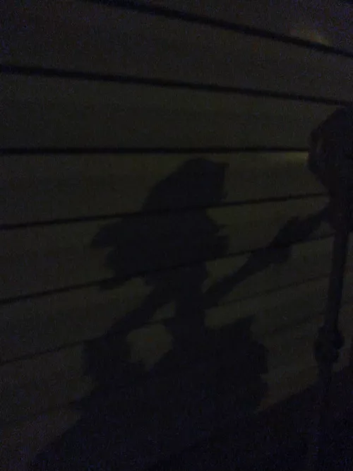 Anybody else see something besides the shadow of a gas meter?