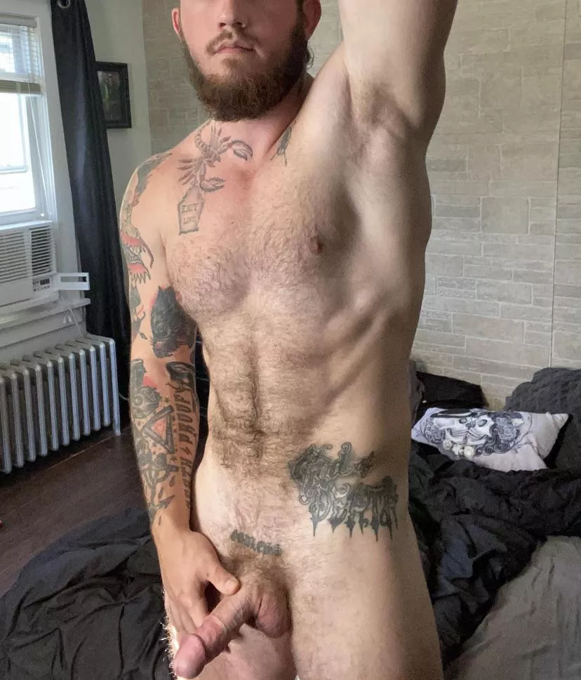 Anyone else get afternoon wood?