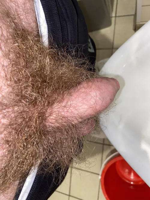 Anyone here with a hairy shaft or admirers check out my new sub r/hairiershafts! Not just bushes but actual hairy dicks! (Hope it’s ok to post here)