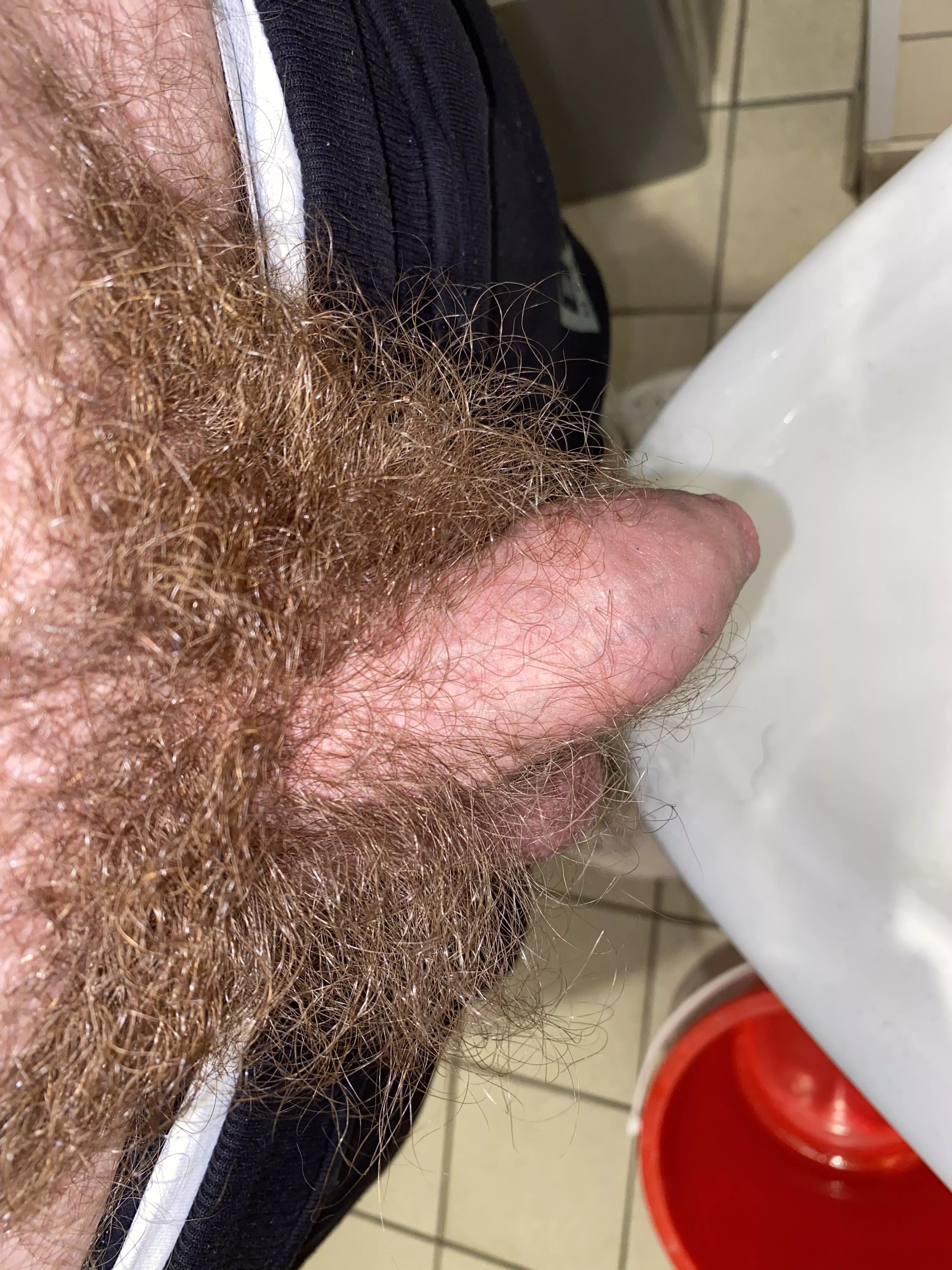 Anyone here with a hairy shaft or admirers check out my new sub r/hairiershafts! Not just bushes but actual hairy dicks! (Hope it’s ok to post here)