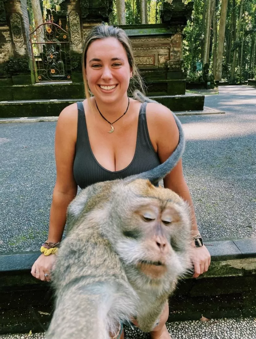 Anyone interested in starting a boobs on top of monkeys subreddit? Anyone interested in starting a boobs on top of monkeys subreddit?