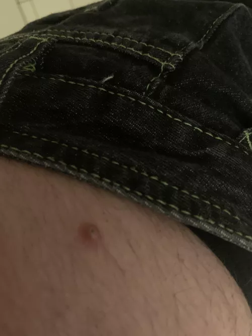 Anyone know what this is?