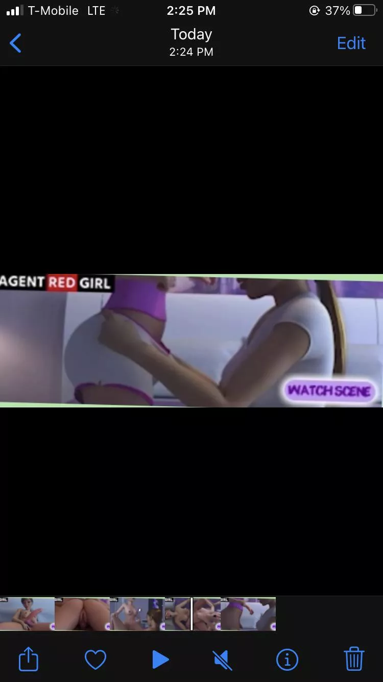 anyone know what this is