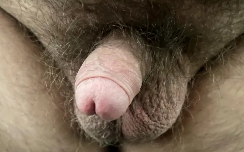 Anyone Like? [21] DMs Open