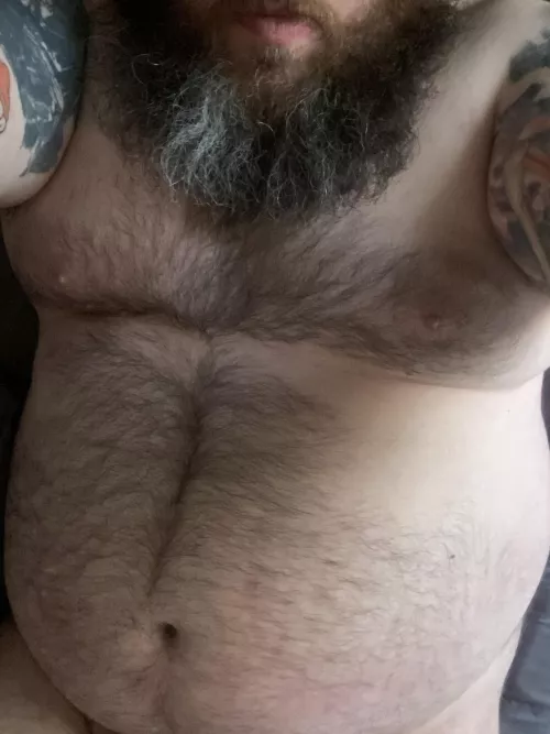 Anyone like hairy bellies?