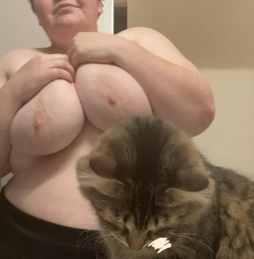 anyone like pussy pics? š»