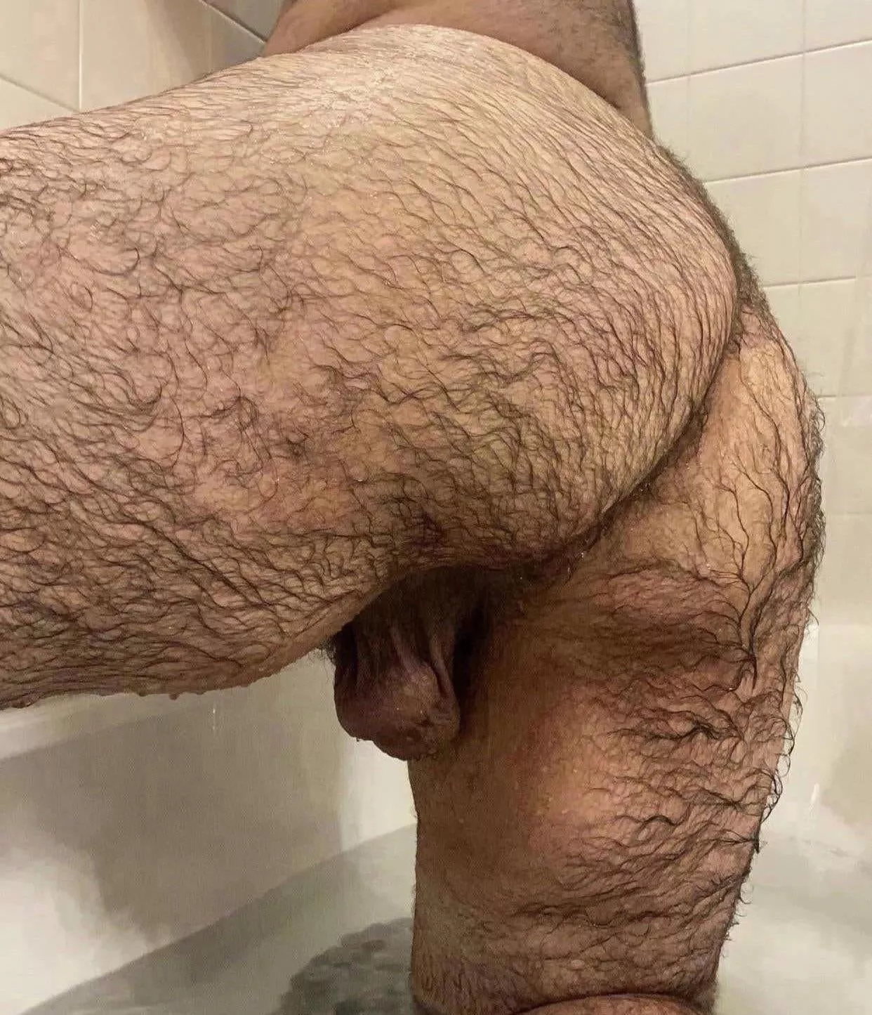 Anyone like wet hairy ass?